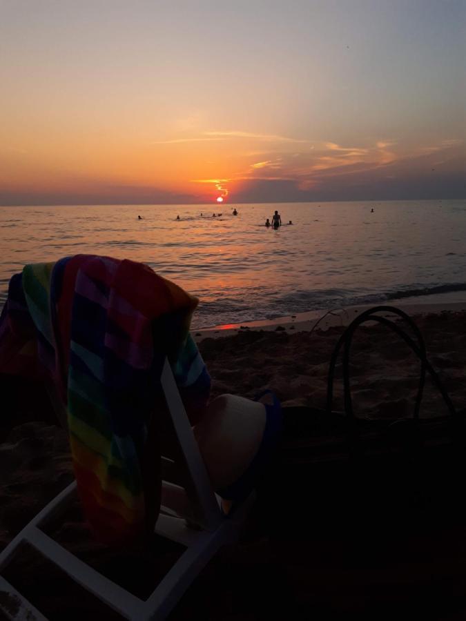 Casa Vacanze "Alizza" 奥利吉欧 外观 照片