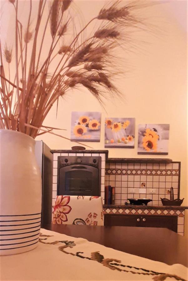 Casa Vacanze "Alizza" 奥利吉欧 外观 照片